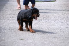 DSC_0294.JPG