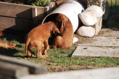 DSC_0429.jpg